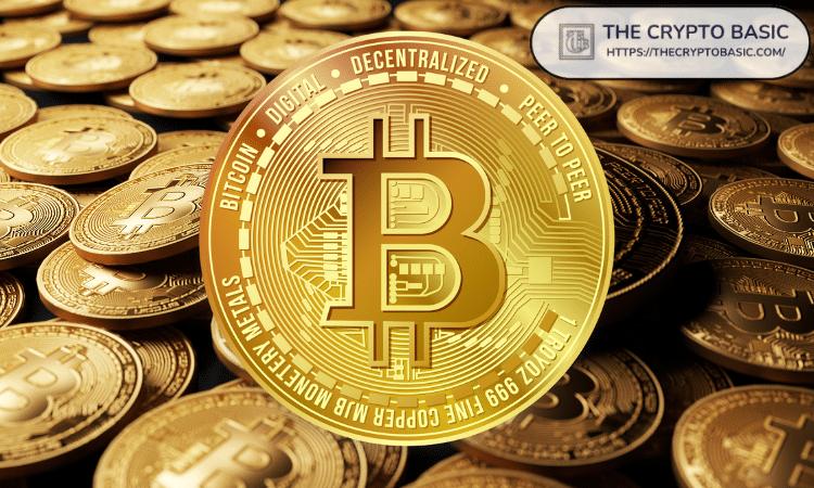 比特币期权ETF推出,鲸鱼增多,BTC创历史新高达9.4万美元